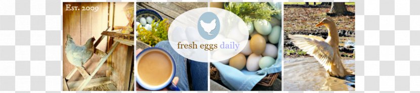 Fresh Eggs Daily: Raising Happy, Healthy Chickens ... Naturally Poultry Livestock - Urban Agriculture Transparent PNG