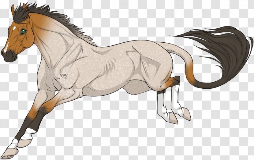 Foal Stallion Mane Mustang Colt Transparent PNG
