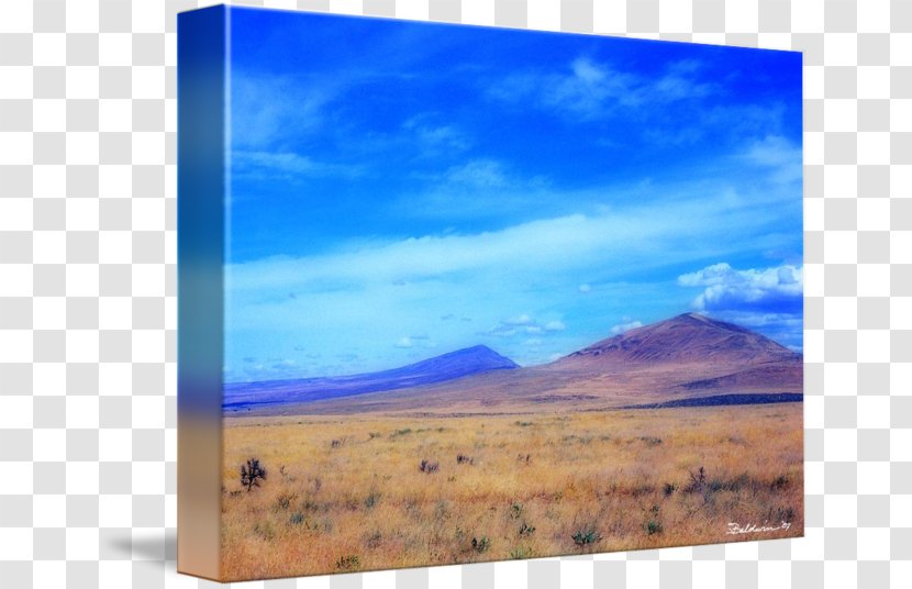 Painting Steppe Grassland Energy Picture Frames - Sky Plc Transparent PNG