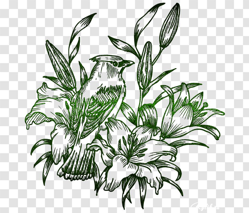 Bird-and-flower Painting Drawing - Flower - Gold Flowers Transparent PNG