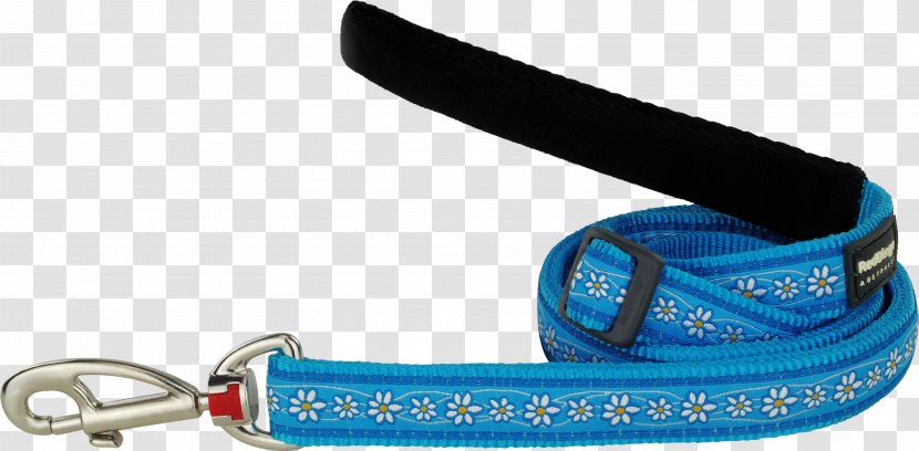 Leash Turquoise Red Daisy Chain Pet - Fashion Accessory - Dog Transparent PNG