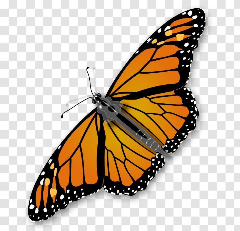 Monarch Butterfly Clip Art - Greta Oto - Funny Pictures Transparent PNG