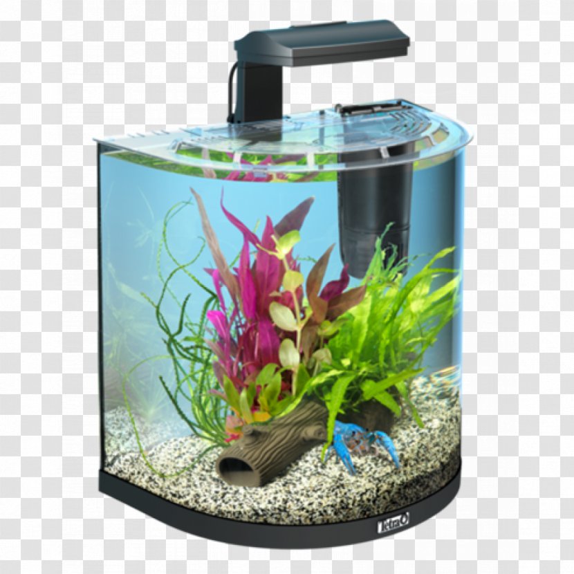 Tetra Aquariums Nano Aquarium Goldfish - Artaquarium Transparent PNG