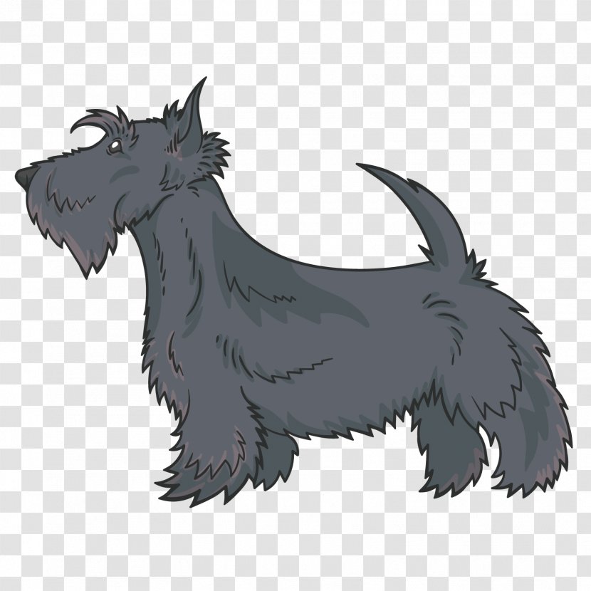 Scottish Terrier Miniature Schnauzer Cairn Pug Dog Breed - Vector Transparent PNG