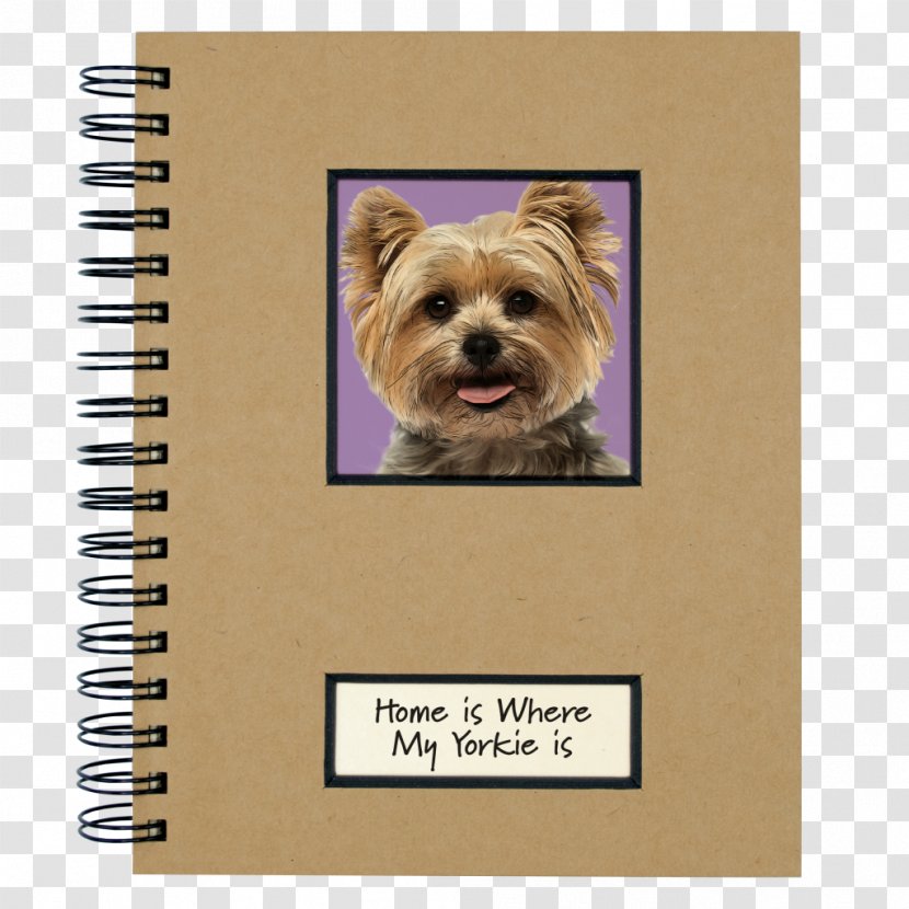 Yorkshire Terrier Water Park Texas Batman - Toy Dog Transparent PNG