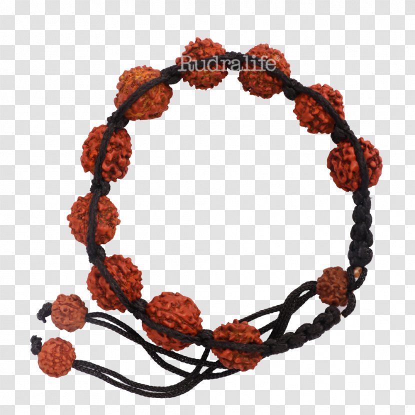 Bracelet Bead Rudralife Rudraksha Thread - Holy Basil Transparent PNG