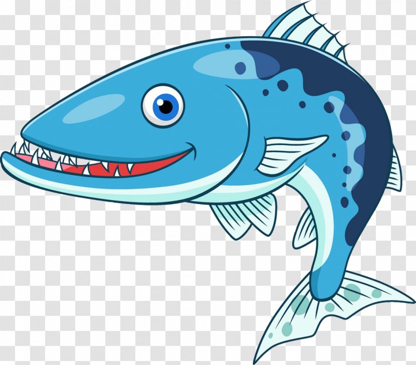 Great Barracuda Cartoon Stock Illustration Clip Art - Cartilaginous Fish - Cute Transparent PNG
