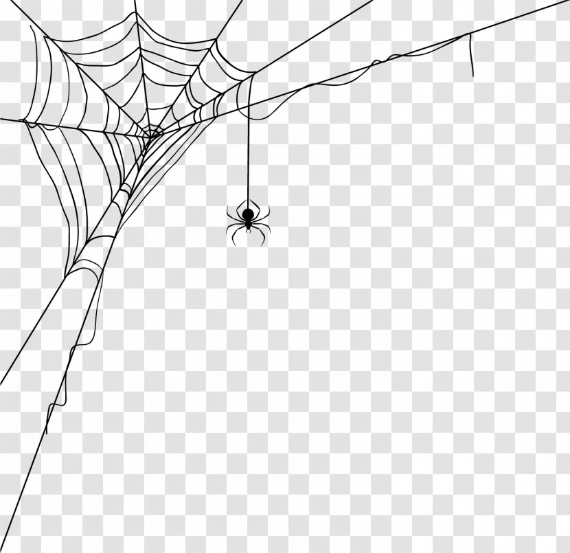 Spider Web World Wide Silk - Symmetry - Decoration Pattern Transparent PNG