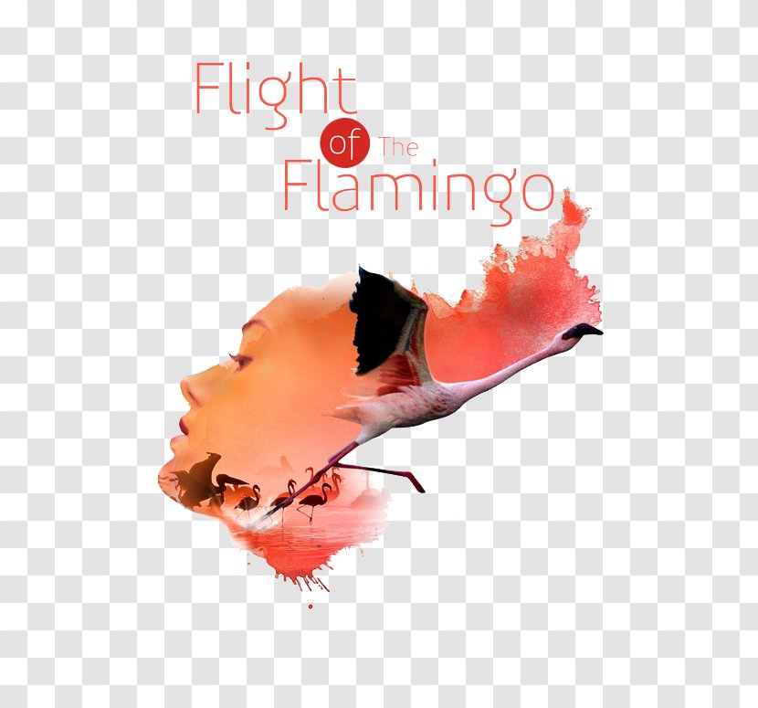 Flight Of The Flamingo Graphic Design Poster Designer - Art - Red Face Pattern Transparent PNG