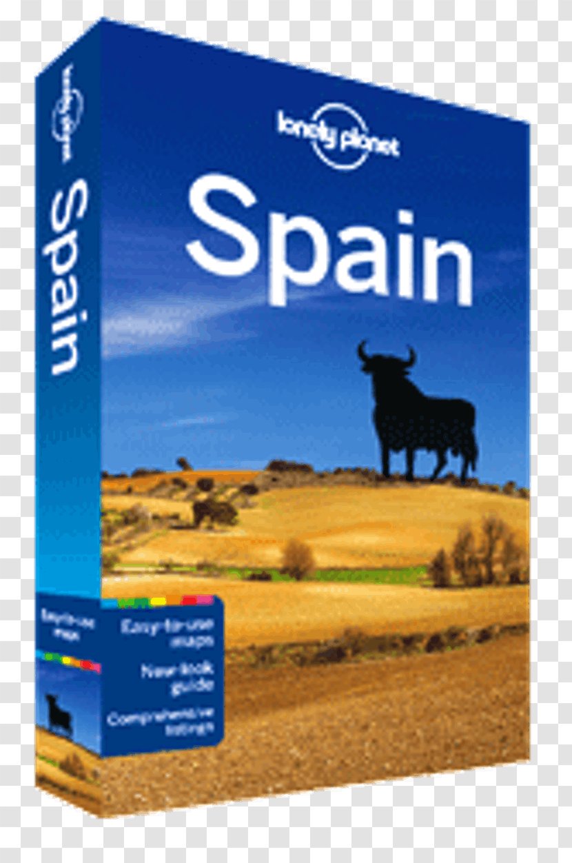 Spain Guidebook Lonely Planet Ecosystem Advertising - Sky - Plane Flag Transparent PNG