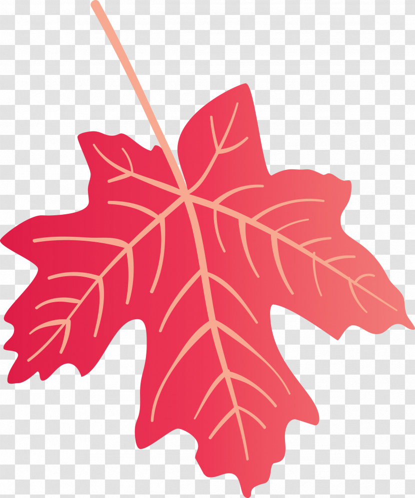 Autumn Leaf Colourful Foliage Colorful Leaves Transparent PNG