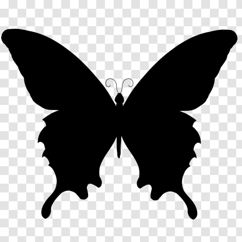 Butterfly Vector Graphics Silhouette Clip Art Illustration - Blackandwhite - Photography Transparent PNG