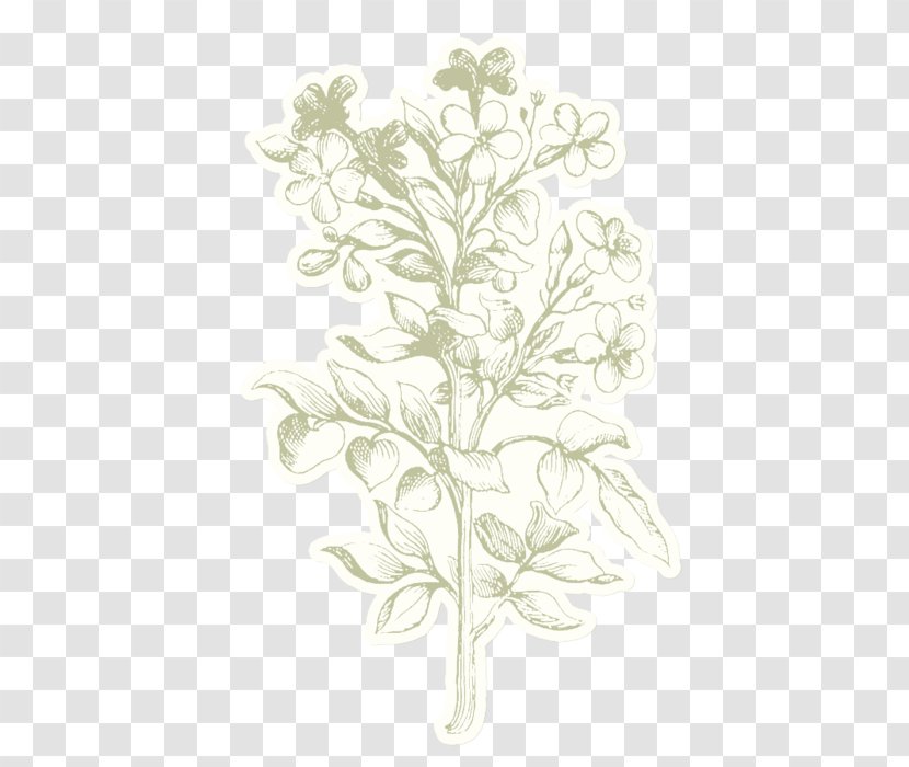 Twig Leaf Plant Stem - Flowering Transparent PNG