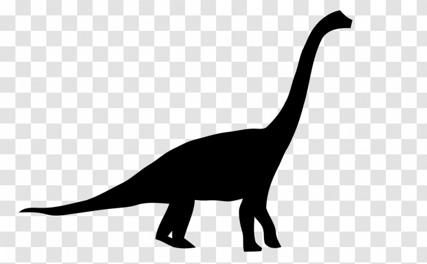 Brachiosaurus Dinosaur Size Apatosaurus Brontosaurus Stegosaurus - Cat Like Mammal Transparent PNG