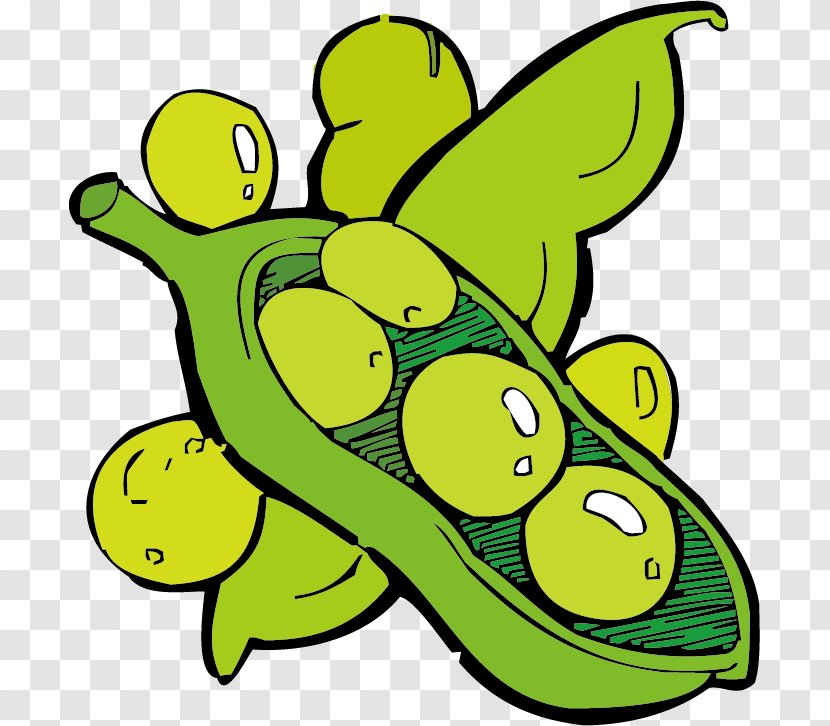 Pea Vegetable Cartoon Clip Art - Produce Transparent PNG