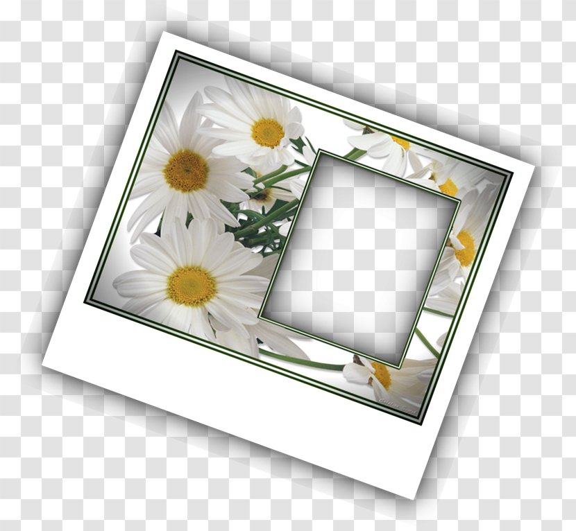 Picture Frames PhotoScape Photography GIMP - Framing Effect - Polaroids Transparent PNG