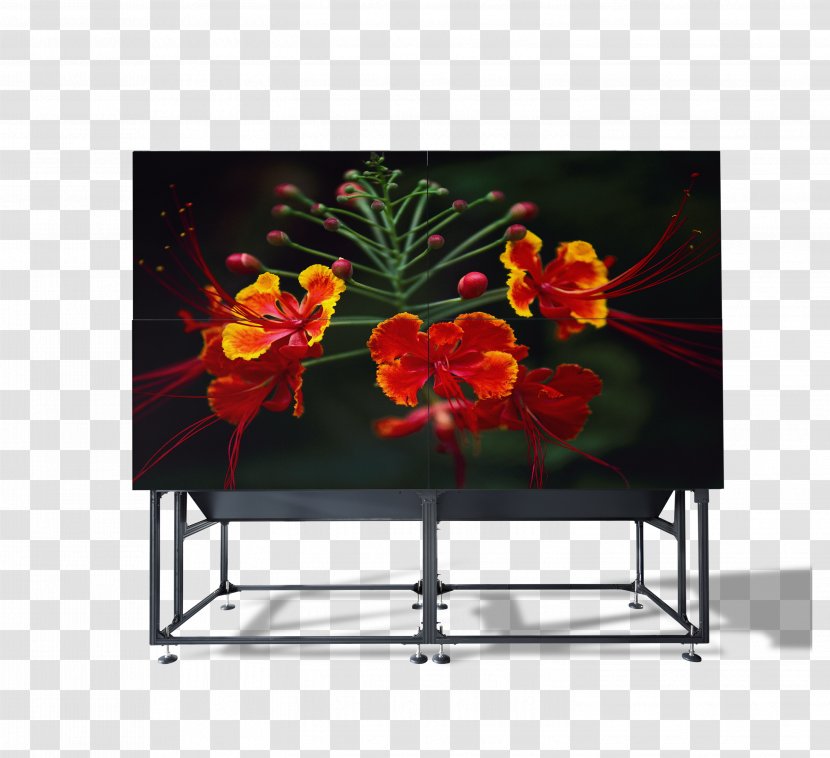 Video Wall Barco Rear-projection Television Digital Light Processing Multimedia Projectors Transparent PNG