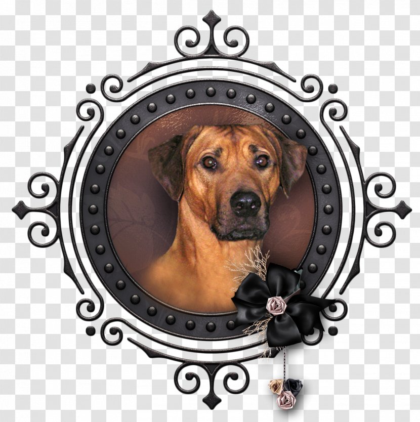 WA Ink Dog Breed Toyota Public Relations - Rhodesian Ridgeback Transparent PNG