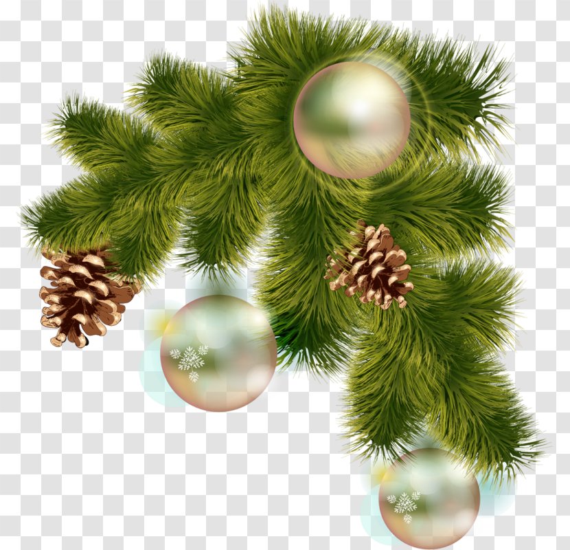 Christmas - Tree Transparent PNG