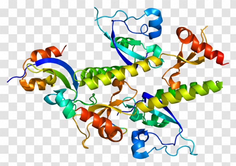 CHD1 Chromodomain Protein Helicase Gene - Area Transparent PNG