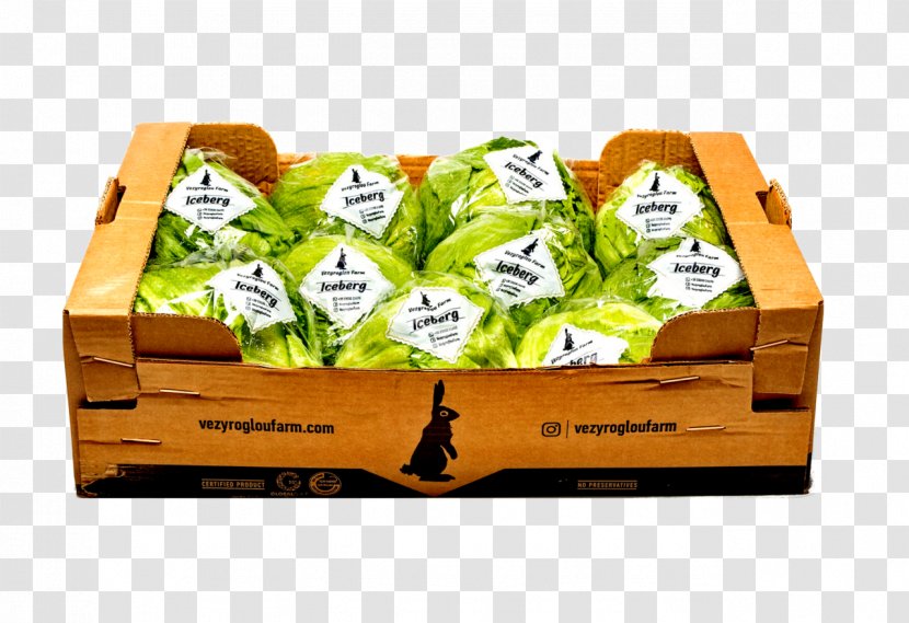 Butterhead Lettuce Red Leaf Salad Vegetable - Iceberg Transparent PNG
