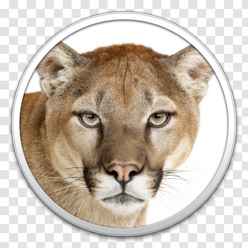 Mac Mini OS X Mountain Lion MacOS - Head - Apple Transparent PNG