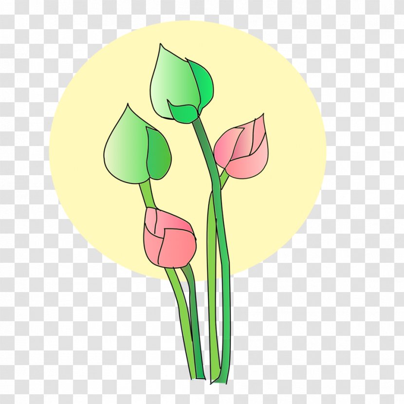 Vesak Clip Art - Petal - Lotus Transparent PNG