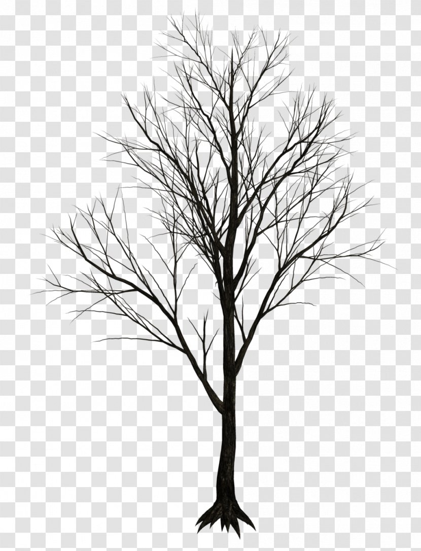 Tree Drawing Clip Art - Woody Plant - Dark Transparent PNG