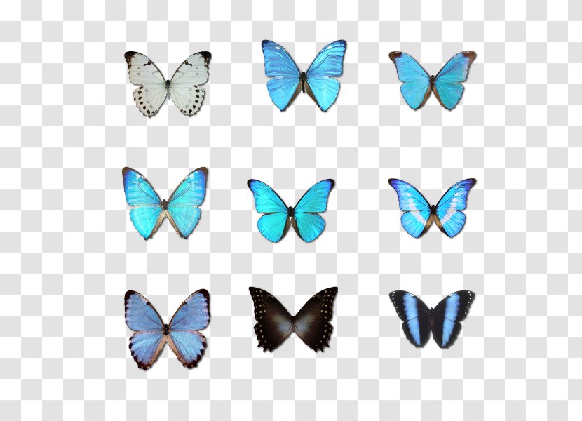 Butterfly Morpho Menelaus Moth - Blue Transparent PNG