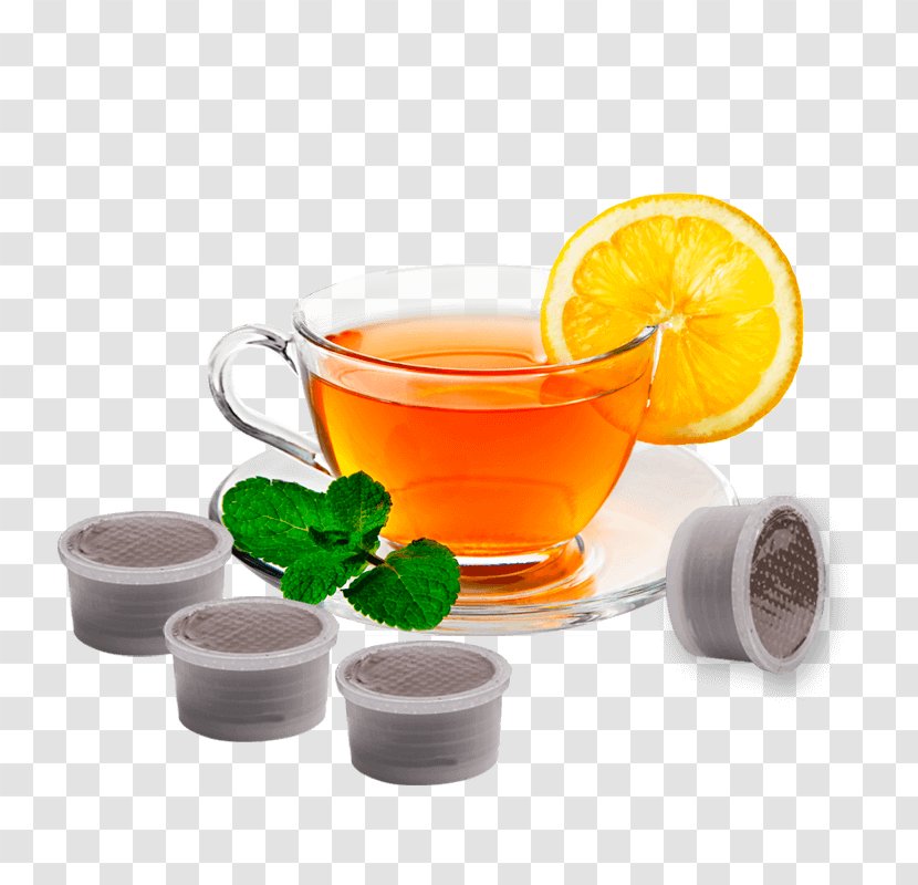 Herbal Tea Mate Cocido Green Nathmulls Of Darjeeling - Black - CosyTea Transparent PNG