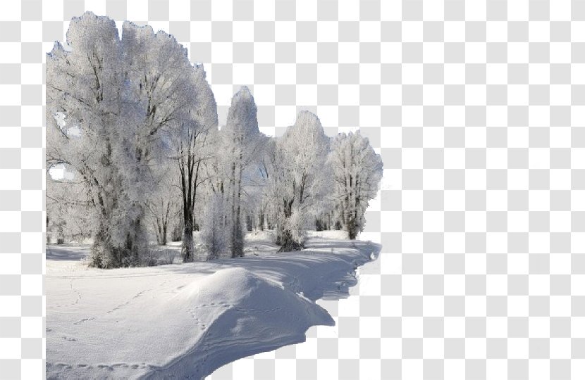 High-definition Television Video Display Resolution January Wallpaper - Snow - Winter Transparent PNG
