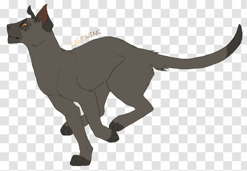 Cat Whiskers Warriors The Sun Trail Erin Hunter - Like Mammal Transparent PNG