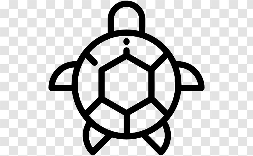 Loggerhead Sea Turtle Reptile - Symbol Transparent PNG