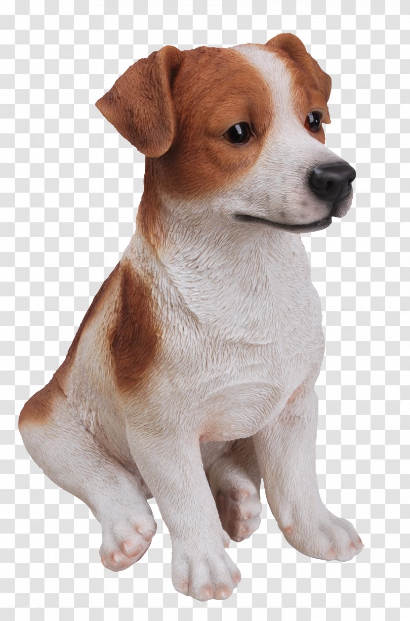 Jack Russell Terrier Parson Dog Breed Miniature Fox Tenterfield - Garden - Puppy Transparent PNG