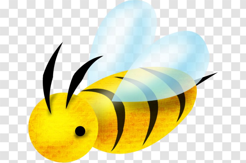 Bee Drawing Clip Art - Butterfly Transparent PNG