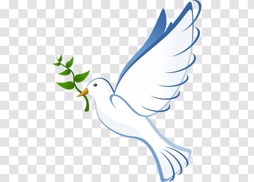 Columbidae Bible Christianity Clip Art - Doves As Symbols - Dove Vector Transparent PNG