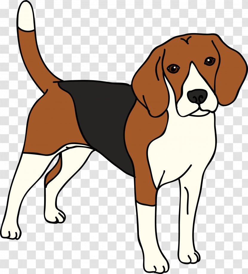Beagle English Foxhound American Harrier Finnish Hound - Treeing Walker Coonhound - Unhappy Dog Map Transparent PNG