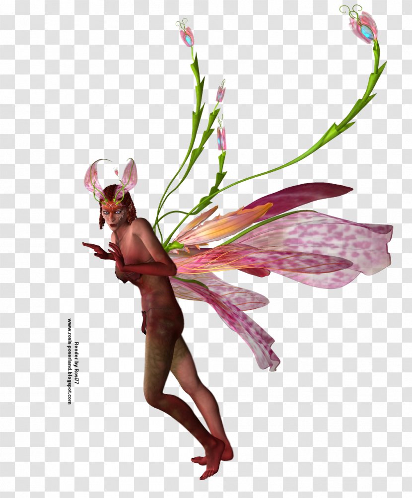 Insect Fairy Flower Illustration Pollinator Transparent PNG