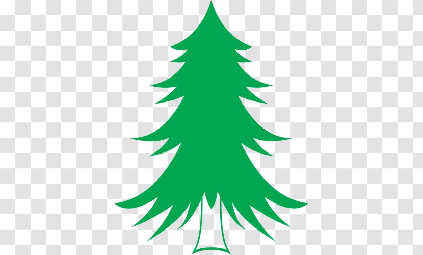 Spruce Pine Tree Abies Alba Langenscheidt Vokabeltrainer - Green Transparent PNG