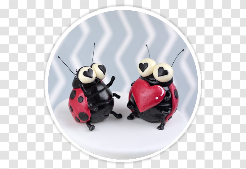 Insect Lady Bird - Invertebrate Transparent PNG