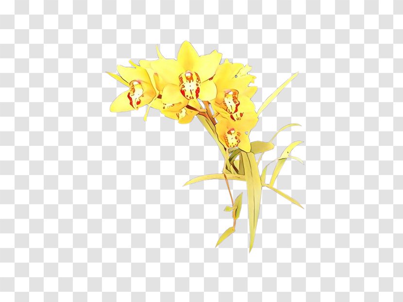 Flower Flowering Plant Yellow Petal - Tagetes Transparent PNG
