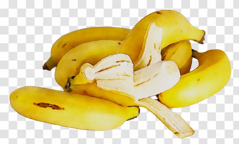Saba Banana Cooking Food Golden - Genetically Modified Transparent PNG