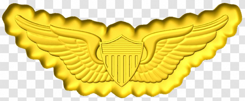 United States Army Military Aviation Of America - Branch Insignia - Cnc Wings Transparent PNG