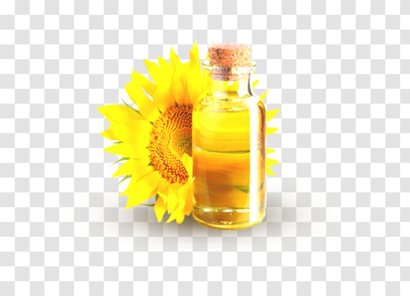 Common Sunflower Oil Seed Carrier - Higholeicsonnenblumen Transparent PNG