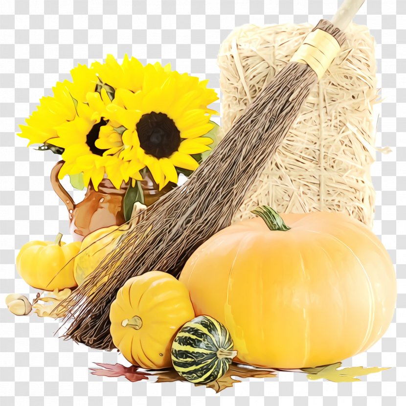 Pumpkin - Calabaza - Flower Transparent PNG