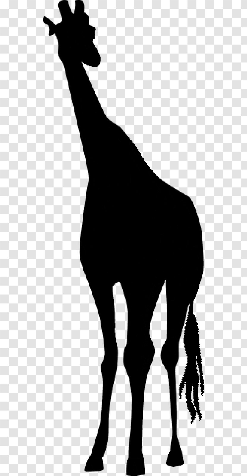 Mustang Horse Stencil Drawing Deer - Silhouette Transparent PNG