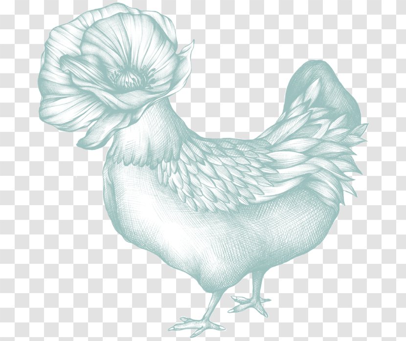 Chicken Bird Phasianidae Fowl Poultry - Rooster Transparent PNG