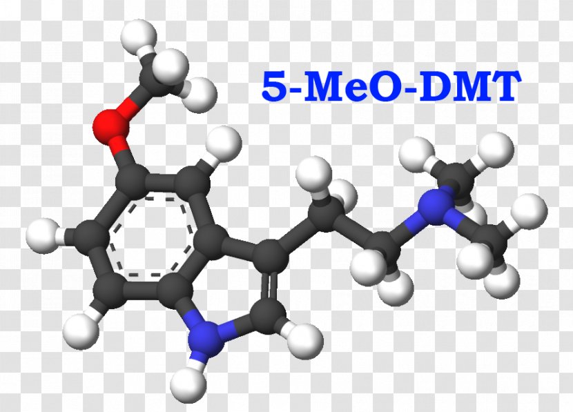 N,N-Dimethyltryptamine O-Acetylpsilocin Melatonin N-Methyltryptamine 5-MeO-DMT - Human Behavior - Meo Transparent PNG