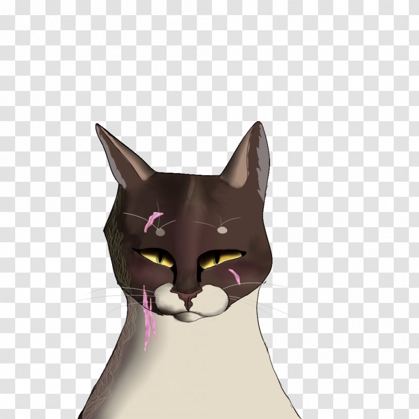 Whiskers Kitten Domestic Short-haired Cat Snout - Fictional Character Transparent PNG