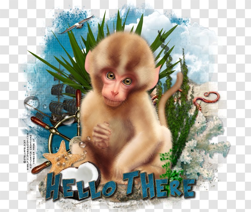 Kraash Monkey Mosaic Mask YouTube - Hello There Transparent PNG